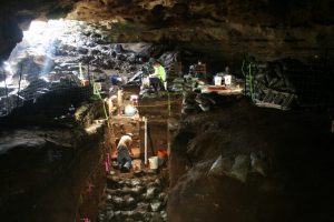 Fieldwork in Hall's Cave