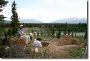 researchers in Alaskas Nenana Valley