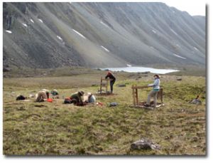 Beringia site in Alaska