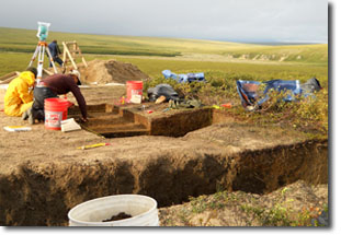 overview of the dig in process