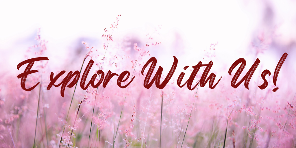 Explore with us banner with pink flowers background