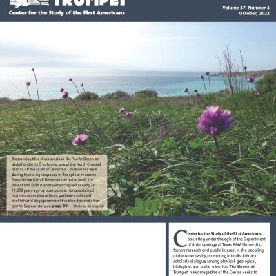 October Mammoth Trumpet cover with flowers on a Pacific Ocean bluff