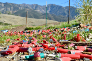 Red shotgun and blue shotgun shells mixed with other trash on the ground with a wire fence and mountains in the background.