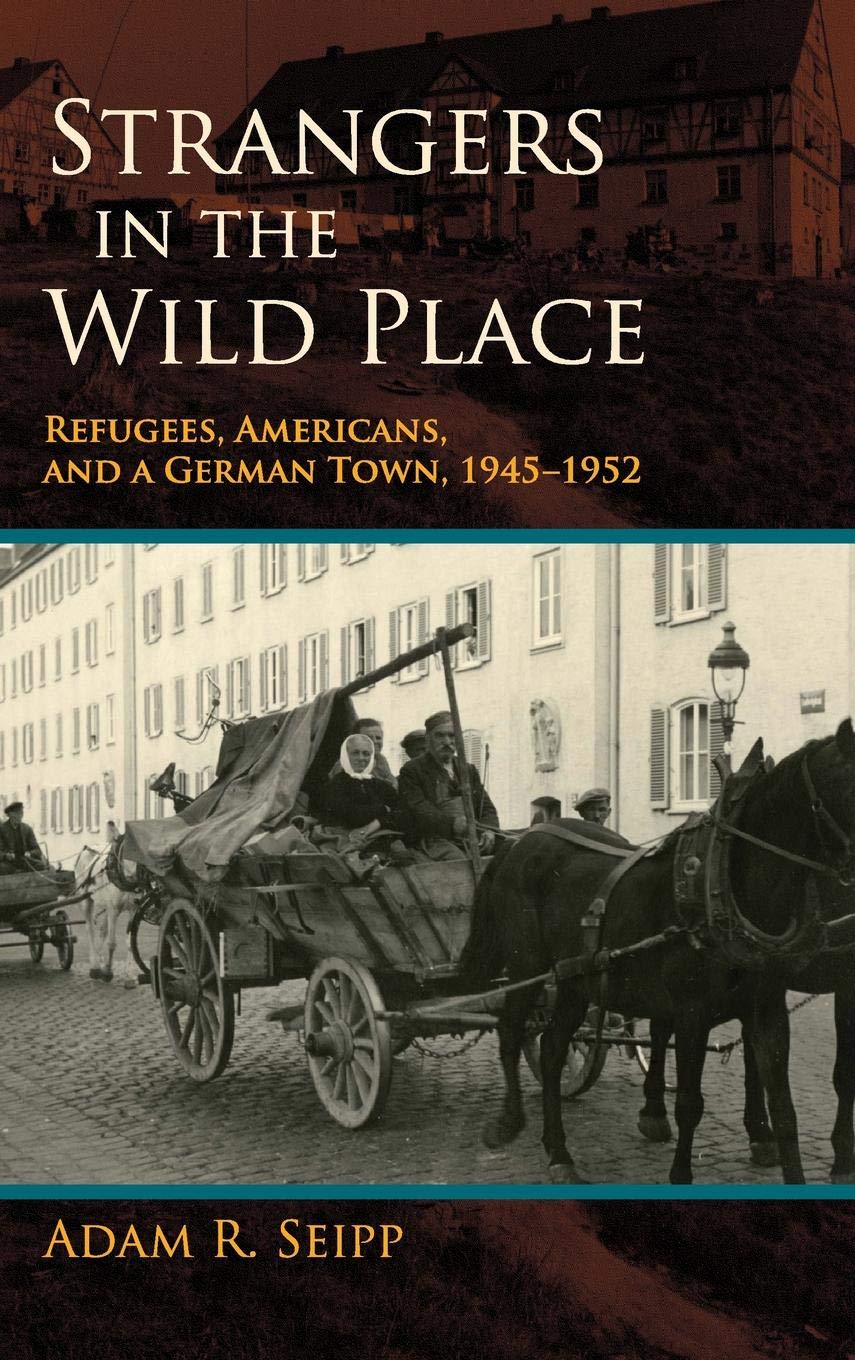 Book Cover for Strangers in the Wild Place