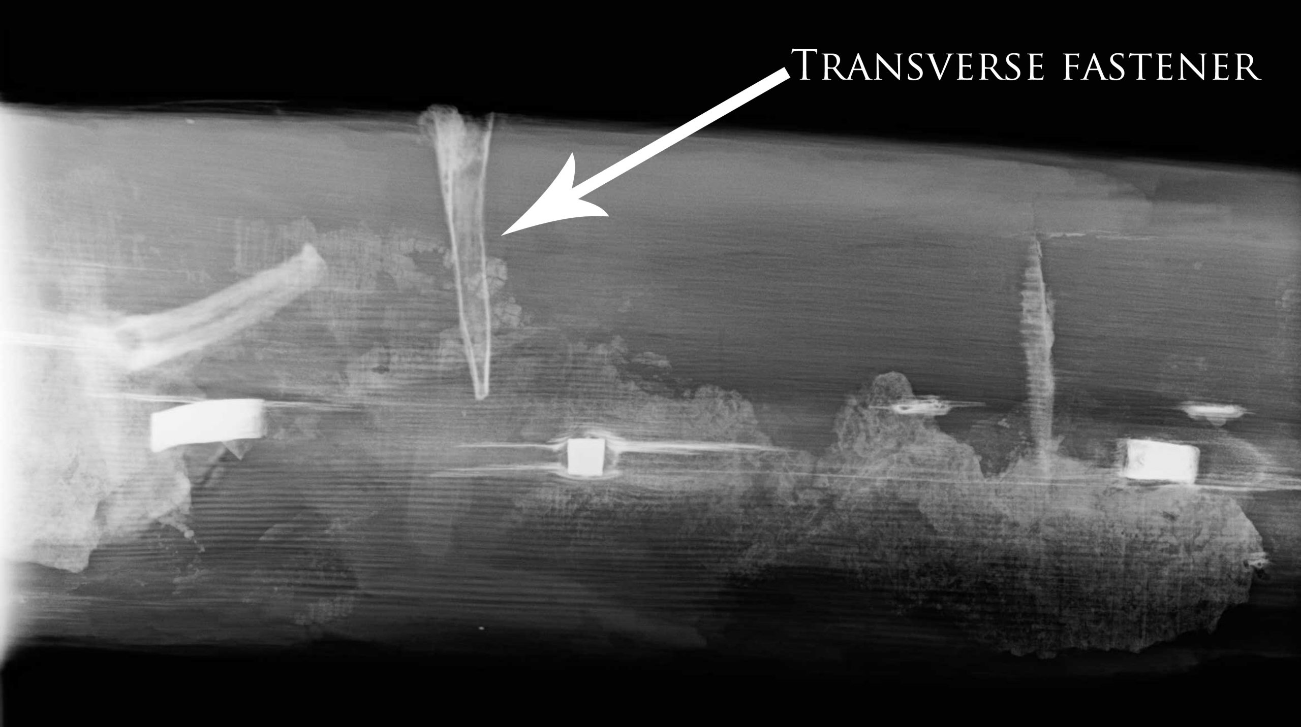 X-ray of ship showing pattern of fasteners used in building