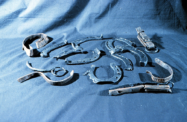 Artifacts found in the interior of the wreck consisted of mundane objects, such as these broken iron horse shoes and leather harness fragments.