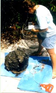 cauldron being recorded before mechanical cleaning