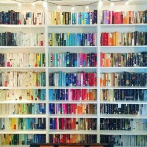 Books organized on shelf by color.