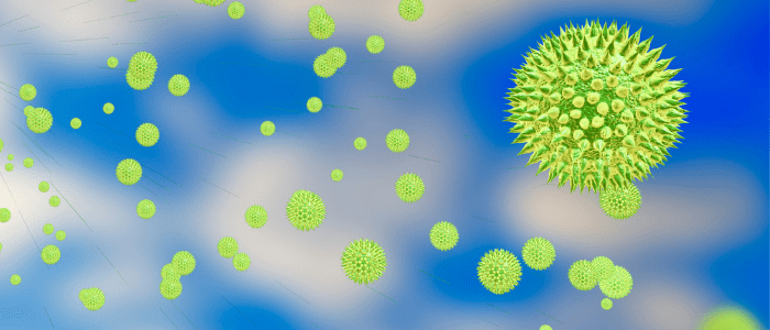 A silent witness: How analysis of pollen can solve crimes – The