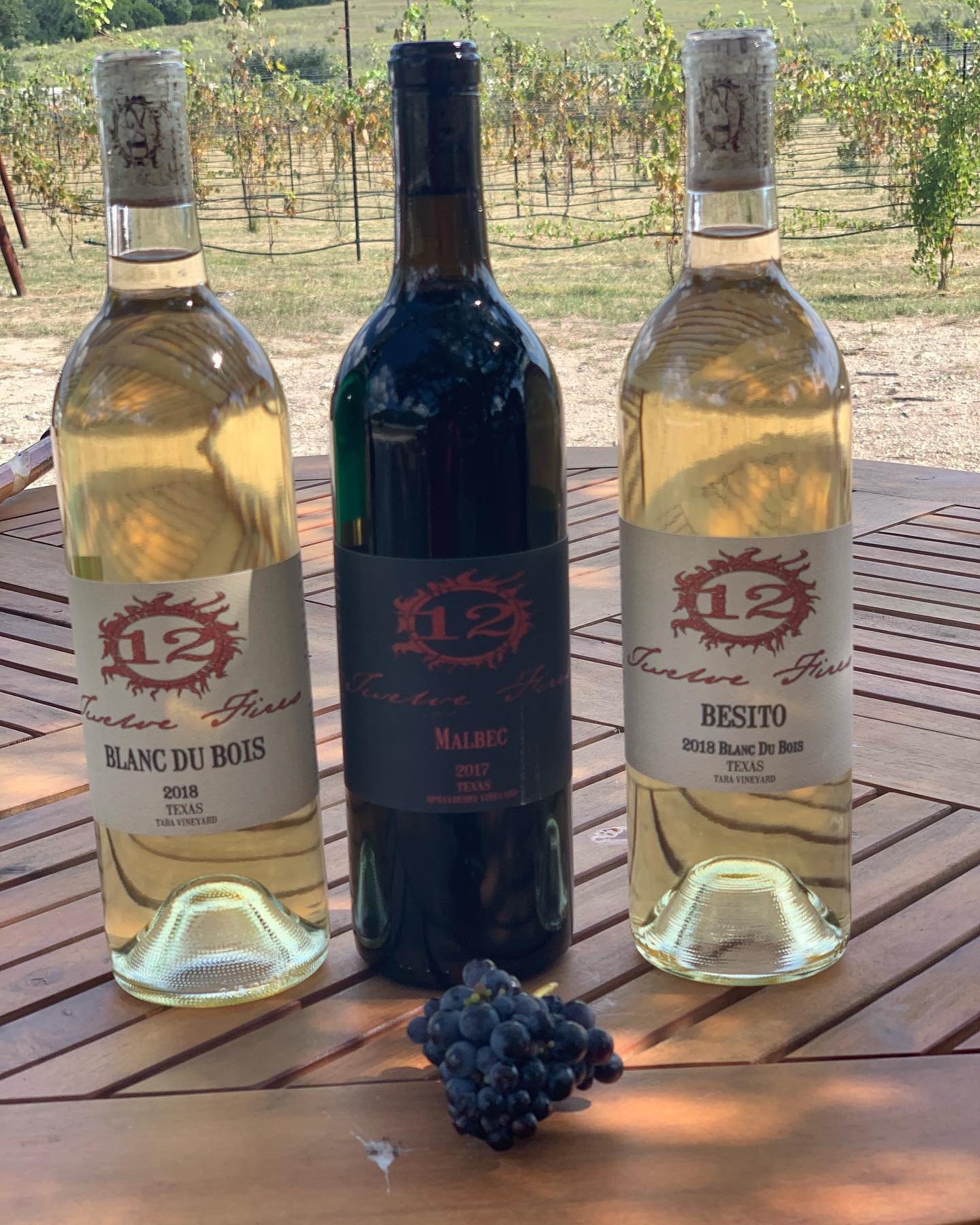 Three bottles of 12 Fires Winery wine with grapevines in background.