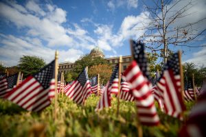 Veteran's Day display of American flags in Academic Plaza on campus.