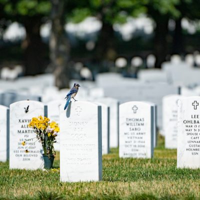 Grave markers in Arlington National Cemetery.