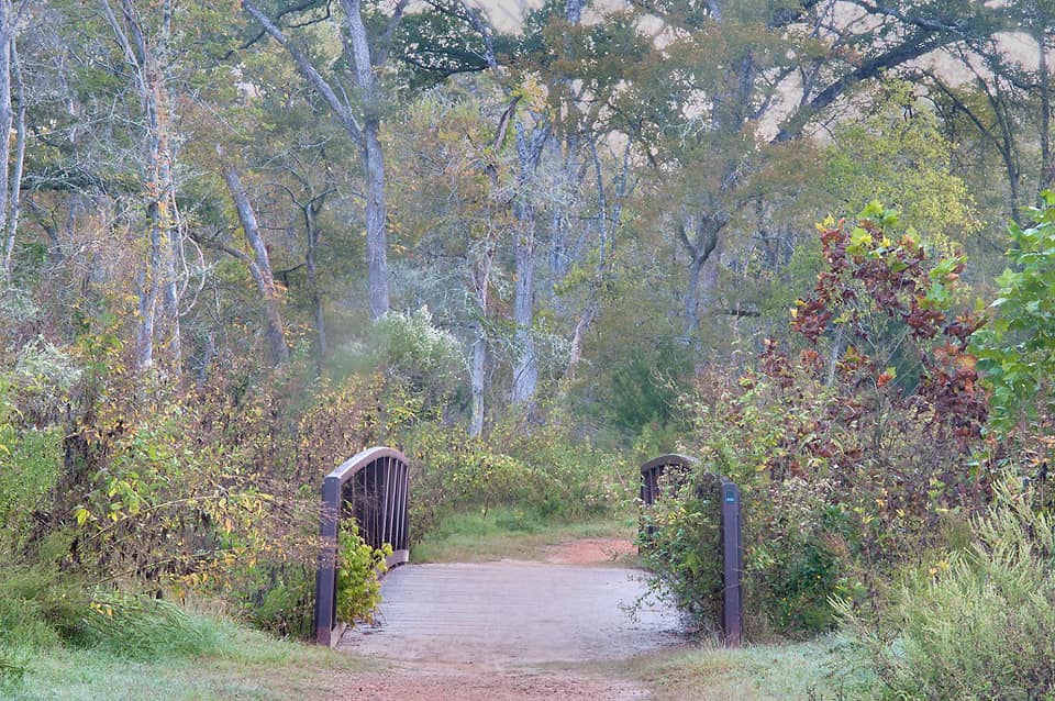 Photo of a bridge surrounded by natural brush at Lick Creek Park in College Station.