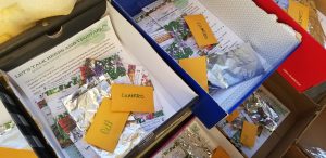 Garden kits for Everybody Eats