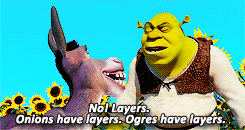 Gif of Shrek telling Donkey, "No! Layers. Onions have layers. Ogres have layers."