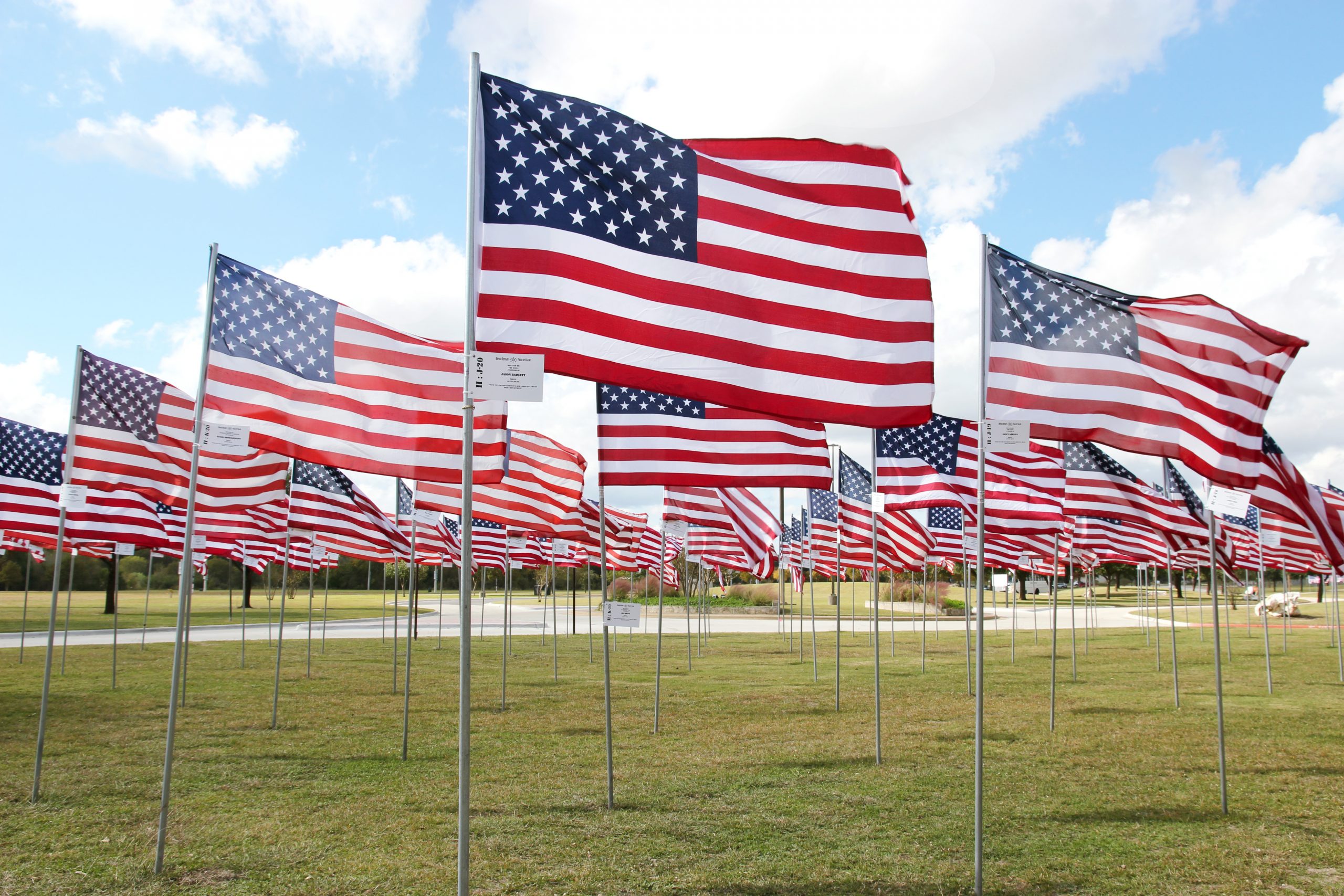 Flags in Veterans Park.