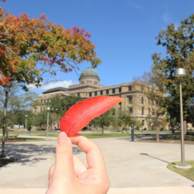 Hand holding a fall leaf with the Academic Building in the background.