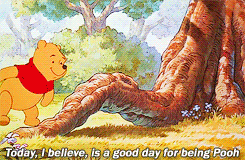 Pooh explores the Hundred Acre Wood.