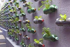 Bottles Recycled into planters on a wall.