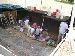 a group of students down in a dig site