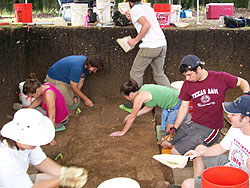 a number of students working on an elevated dig
