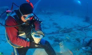 Dive examines object underwater